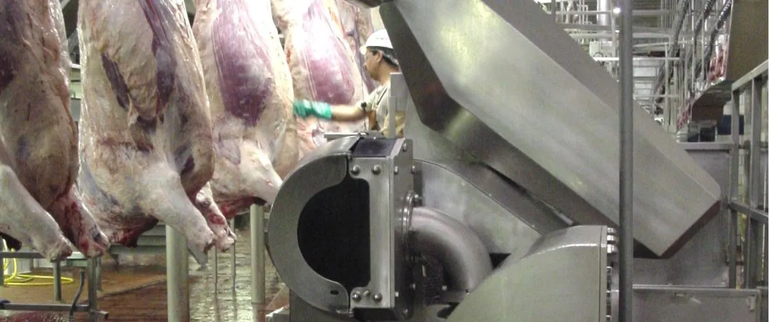 Beef Cutting Robots