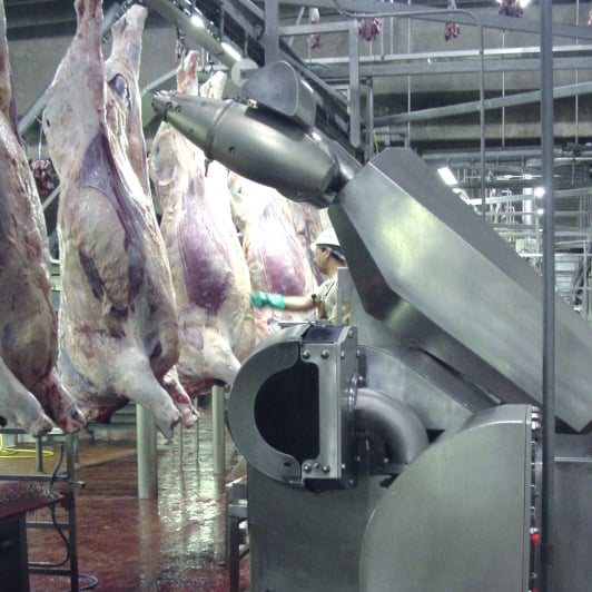 Automation and Software projects beef cutting